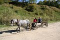 foto 091